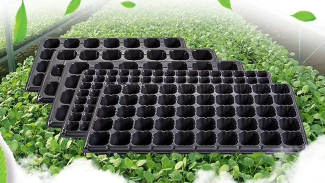 Quais são as máquinas de produção de bandejas de mudas?