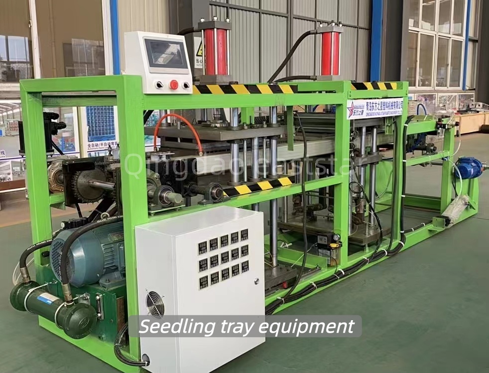 Clientes indianos visitam bandejas de mudas e equipamentos de controle de raízes, discutindo soluções modernas de plantio agrícola